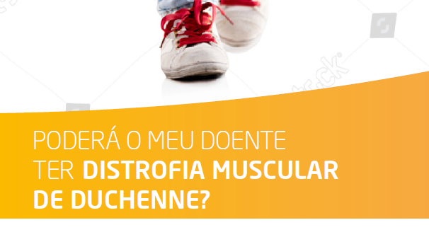 O que é a DMD