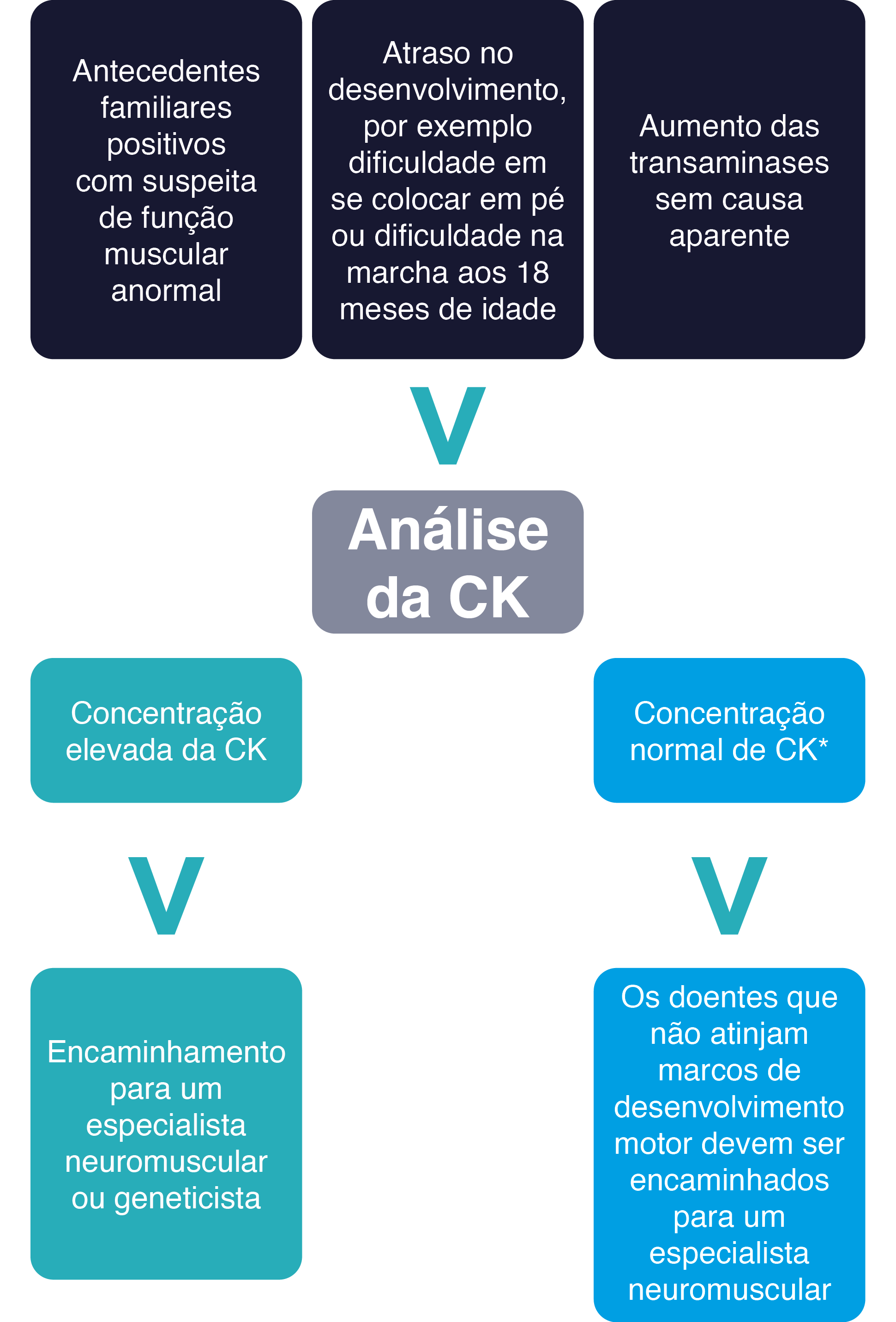 esquema