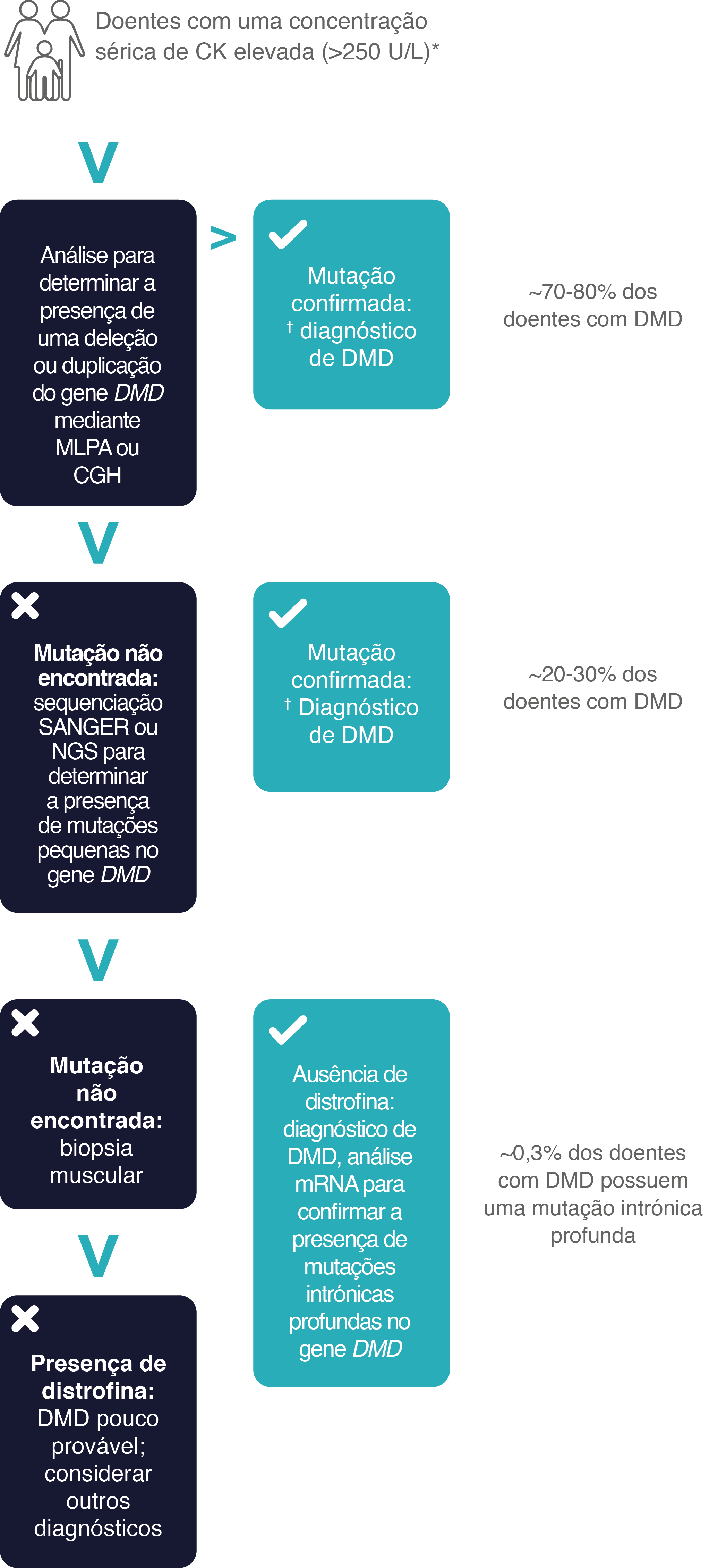 esquema