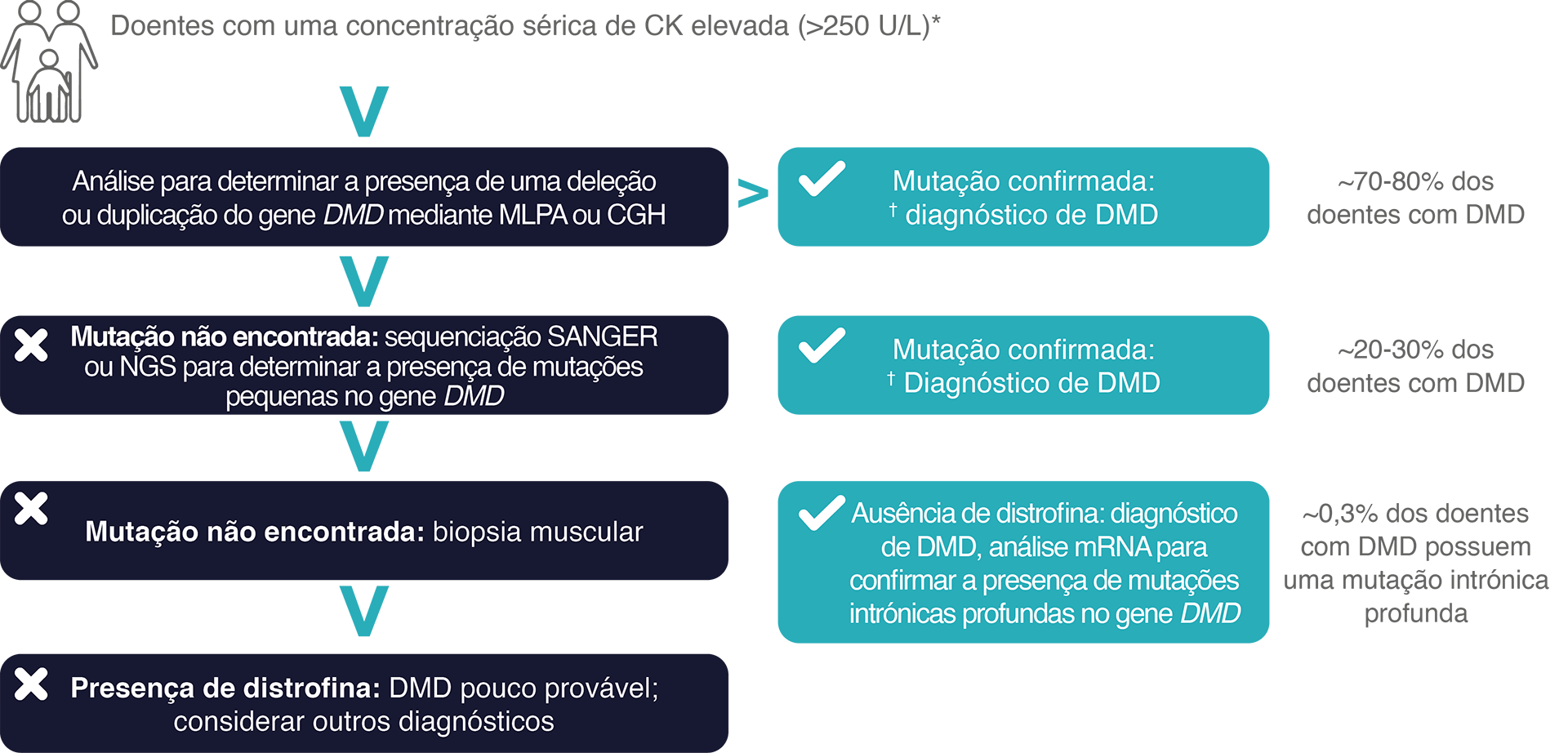 esquema